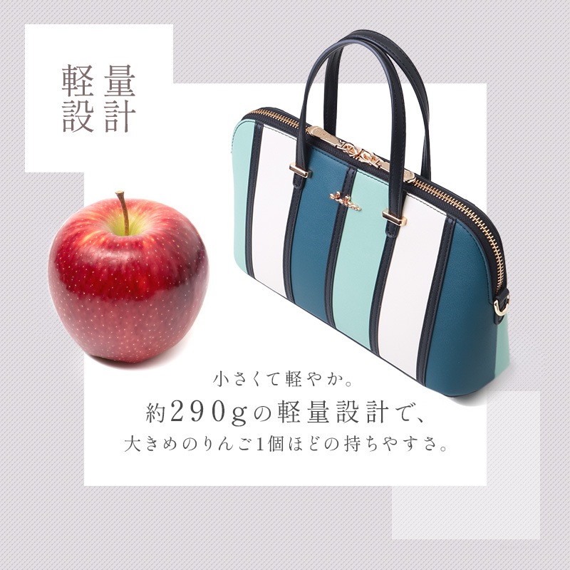 ���ȥ饤�ץߥ˥ܥ��ȥ�2way�Хå�
