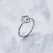 LUNA ESTRELLA RING SMALL ʥȥ