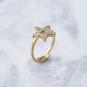 PRIMERA RING ץ