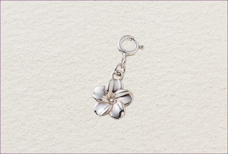 Pukana La Hawaii��Parts���ץ��ʥ�ϥ磻�� �ѡ��ġ� PA009