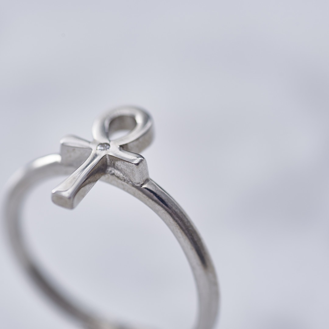 TRANSPORTER RING �ȥ�󥹥ݡ��������