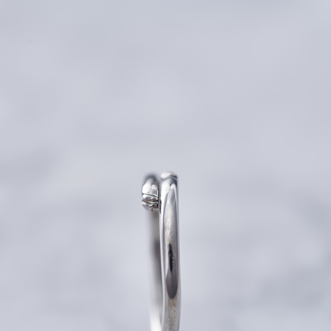 TRANSPORTER RING �ȥ�󥹥ݡ��������