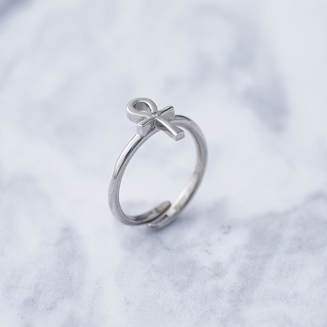 TRANSPORTER RING �ȥ�󥹥ݡ��������