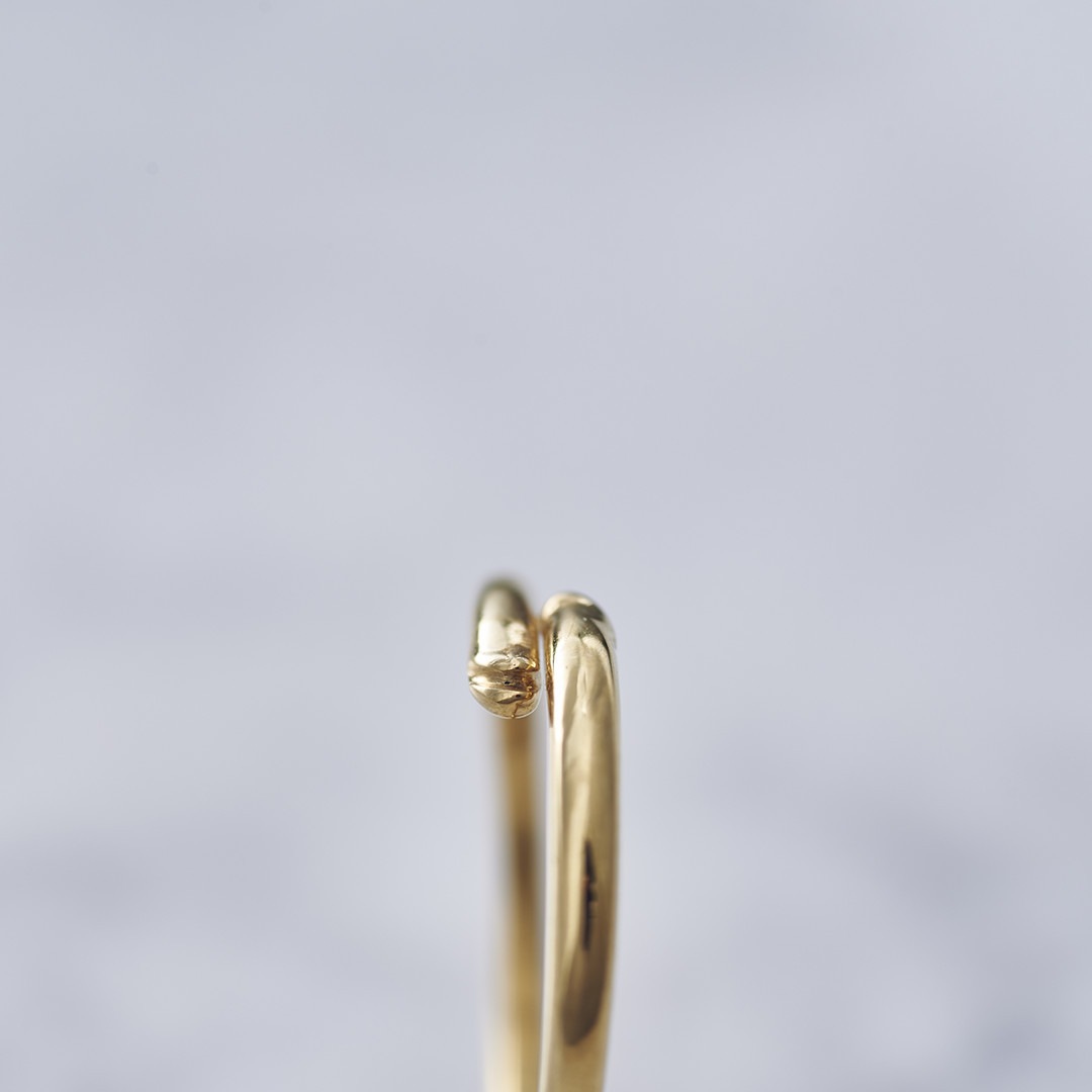 TRANSPORTER RING �ȥ�󥹥ݡ��������