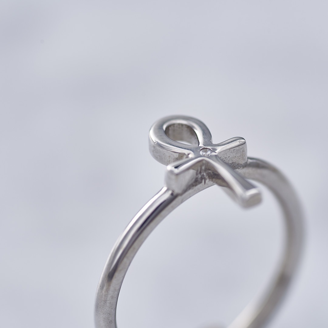 TRANSPORTER RING �ȥ�󥹥ݡ��������