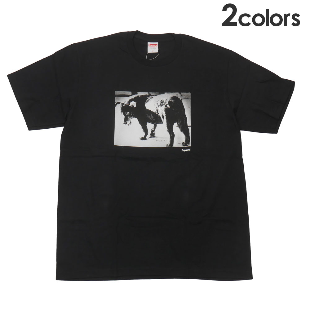 Supreme Daido Moriyama Tシャツ M ブラック Supreme Daidō Moriyama Tights Tee Black Men's - SS22 - US