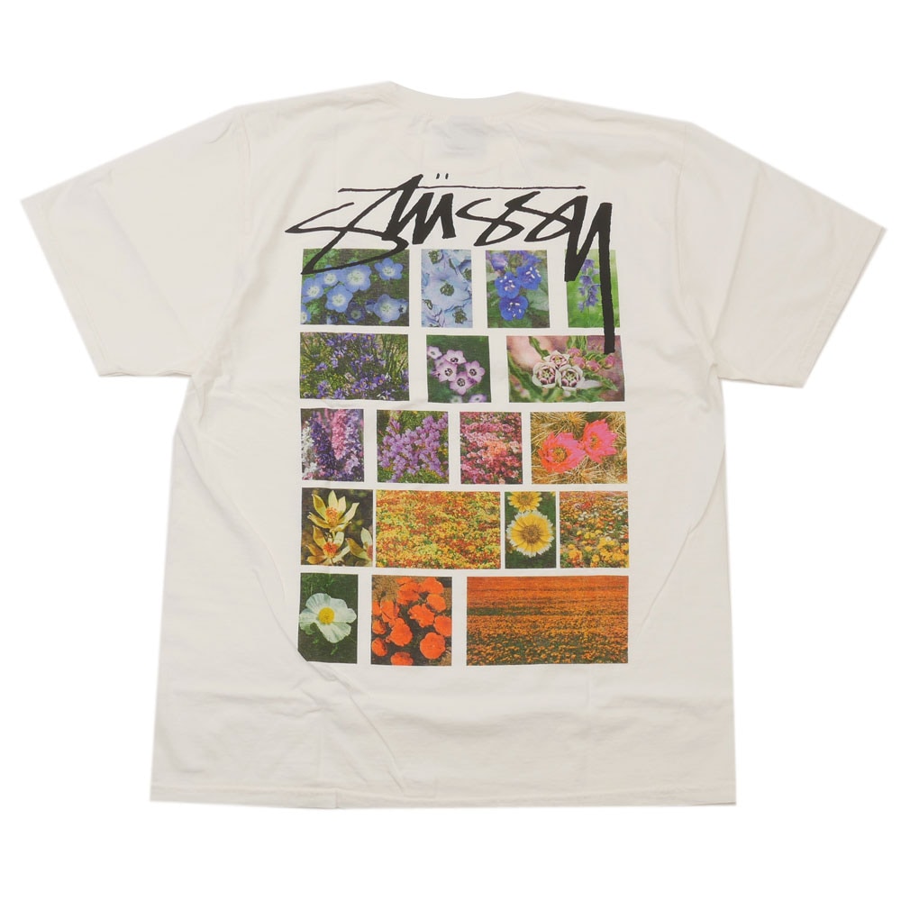 期間限定ポイント5倍キャンペーン中!!] 新品 ステューシー STUSSY
