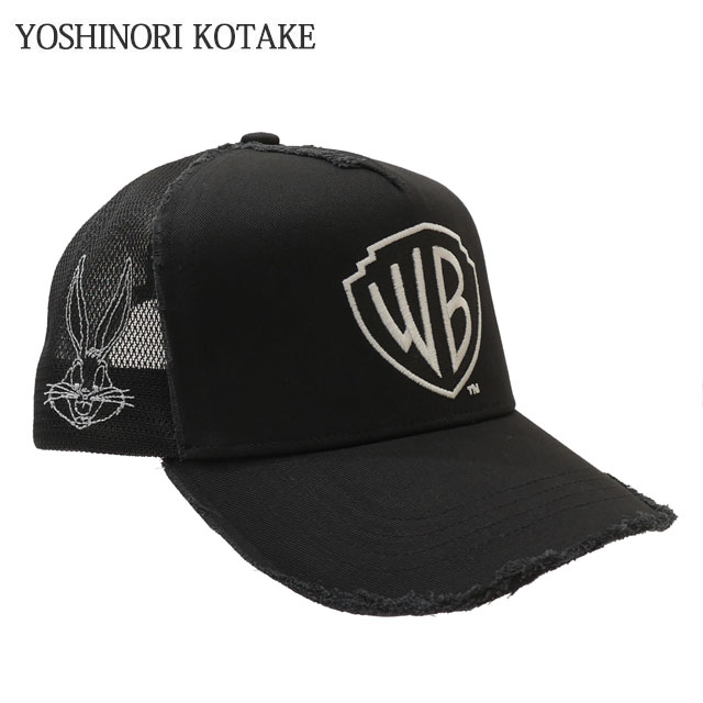 定休日以外毎日出荷中] モフモフの立て髪のゴリラコガネ⑧標本