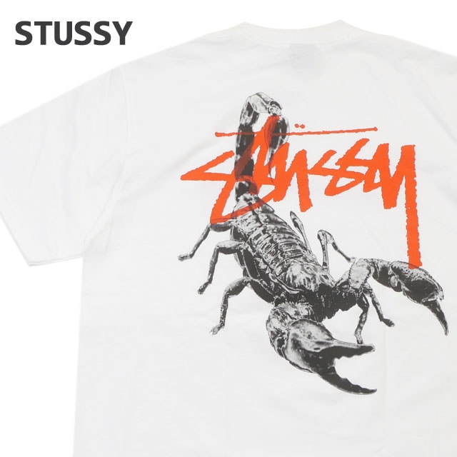 デッドストック STUSSY タワレコ Tシャツ M スチューシー 新品 デッドストック STUSSY タワレコ Tシャツ M スチューシー 新品
