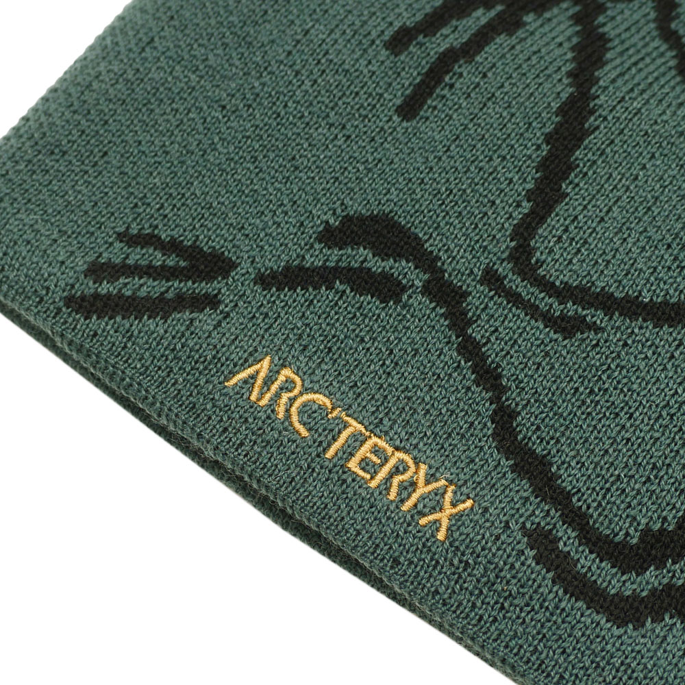 スキー・スノーボードアクセサリー ARC'TERYX Bird Toque Green スキー