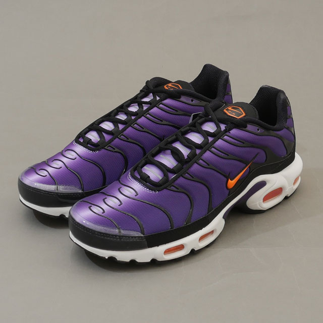 期間限定ポイント5倍キャンペーン中!!] 新品 ナイキ NIKE AIR MAX PLUS 