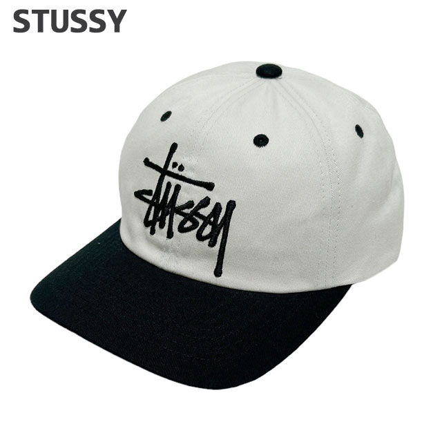 期間限定ポイント5倍キャンペーン中!!] 新品 ステューシー STUSSY BIG