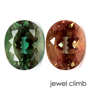 �ڣ���������������Сۥ��顼�����󥸥���ǥ��� ���� �롼�� ���������ã�