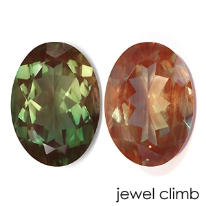 ��21�ޤ�Xmas���ꡦ����20%OFF�ۥ��顼�����󥸥���ǥ��� �롼�����������ã�