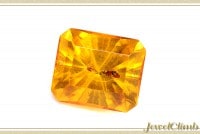 虫入りアンバー・ルース１．１５ＣＴ|アンバー