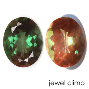 ��21�ޤ�Xmas���ꡦ����20%OFF�ۥ��顼�����󥸥���ǥ��󡦥롼�����������ã�