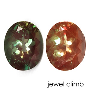 ��21�ޤ�Xmas���ꡦ����20%OFF�ۥ��顼�����󥸥���ǥ��� ���� �롼�� ���������ã�