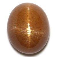 ���������󥹥ȡ��� ���� �롼�� ���������ã�