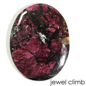 �桼�ǥ����饤�ȡ��롼�������������ã�