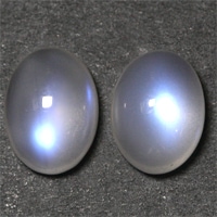 �ڥꥹ�ƥ饤�ȡ��롼����ڥ����ȡ���䣲�����ã�����