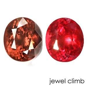 ���顼�����󥸥����ͥåȡ��롼�������������ã�