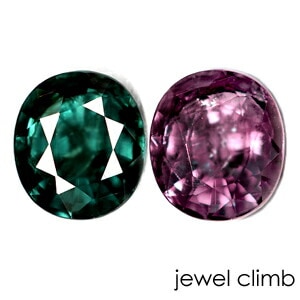 ���顼������ �����ͥå� ���� �롼�� ���������ã�