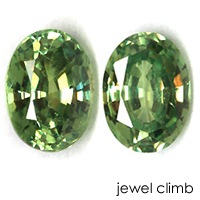 ǥޥȥɥͥåȡ롼 ڥȡ CT