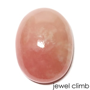 ���ȥ��٥꡼�����ͥåȡ��롼�������������ã�