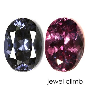 ��21�ޤ�Xmas���ꡦ����20%OFF�ۥ��顼������ �����ͥå� ���� �롼�� ���������ã�