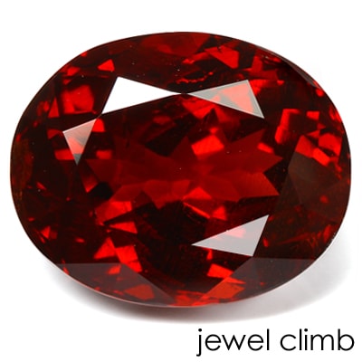 ���ڥ��륿���ȡʥ��ڥ���ƥ���˥����ͥåȡ��롼�����������ã�