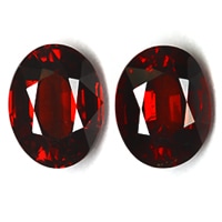 ���ڥ��륿���ȥ����ͥåȡ��롼�� ��ڥ����ȡ���� ��������CT