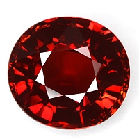 ���ڥ��륿���ȥ����ͥåȡ��롼������������CT