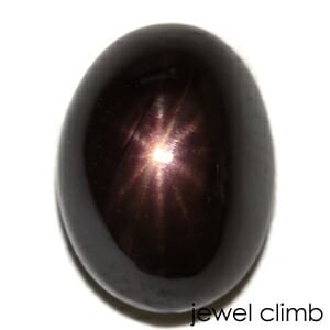 ��21�ޤ�Xmas���ꡦ����20%OFF�ۣ����쥤���������ե����� ���� �롼�� ���������ã�