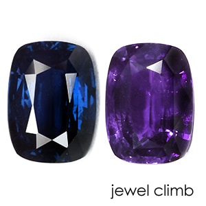 ���Ǯ���顼�����󥸥����ץ��ե��������롼�����������ã�