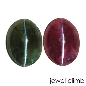 ��21�ޤ�Xmas���ꡦ����20%OFF�ۥ��쥭����ɥ饤�ȥ���åĥ��� ���� �롼�� ���������ã�