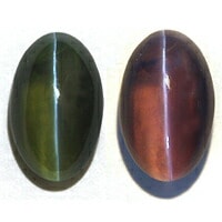 ���쥭����ɥ饤�ȥ���åĥ��� ���� �롼�� ���������ã�