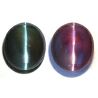 ���쥭����ɥ饤�ȥ���åĥ��� ���� �롼�� ���������ã�