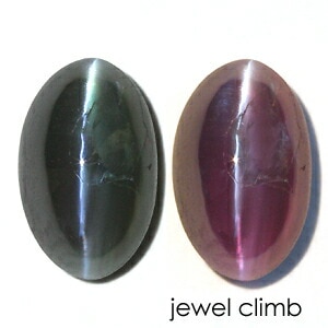 ���쥭����ɥ饤�ȥ���åĥ��� ���� �롼�� ���������ã�