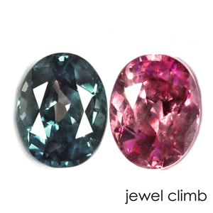 ���쥭����ɥ饤�� ���� �롼�� ���������ã�