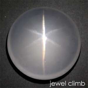 ��3/15�ޤ�ŹĹ���쥯�ȡ�<BR>�ߥ륭���������������� ���� �롼�� �����������ã�