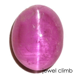 饺٥ʥڥåĥȡ˥åĥ롼ã