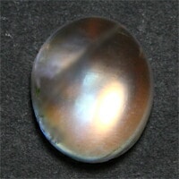 쥤ܡࡼ󥹥ȡ  롼 ʥޥ󥸡ˣã