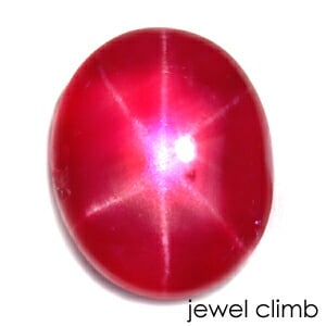 ��������ӡ� ���� �롼�� ���������ã�