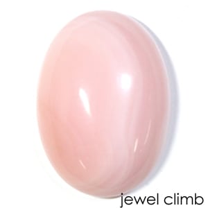 �ԥ󥯥��ѡ��롦�롼�������������ã�