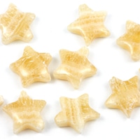 �ꤢ���꡼���ʥ֥륹�ȡ������ʥ������Υ��饴�ʥ��� ���� �롼�� ��