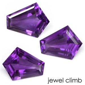 �ʥե��󥷡�9.2��7.4mm����˥��᥷���ȡʥ��᥸���ȡˤΥ꡼���ʥ֥� ���� �롼�� ���ȡ���