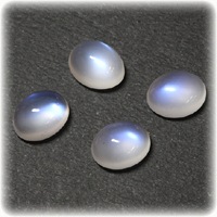 �ʥ����Х�7.5x5.5mm����˥ڥꥹ�ƥ饤�ȤΥ꡼���ʥ֥� ���� �롼�� ���ȡ���