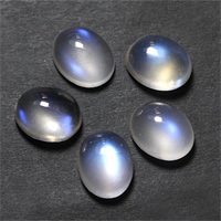 �ʥ����Х�8.5x7.5mm����˥ڥꥹ�ƥ饤�ȤΥ꡼���ʥ֥� ���� �롼�� ���ȡ���