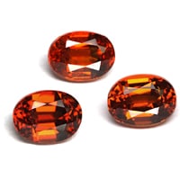 �ʥ����Х�7.0��5.3����˥��ڥ��륿���ȥ����ͥåȤΥ꡼���ʥ֥롦�롼�����ȡ���