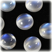 �ʥ饦���7mm����˥ڥꥹ�ƥ饤�ȤΥ꡼���ʥ֥� ���� �롼�� ���ȡ���